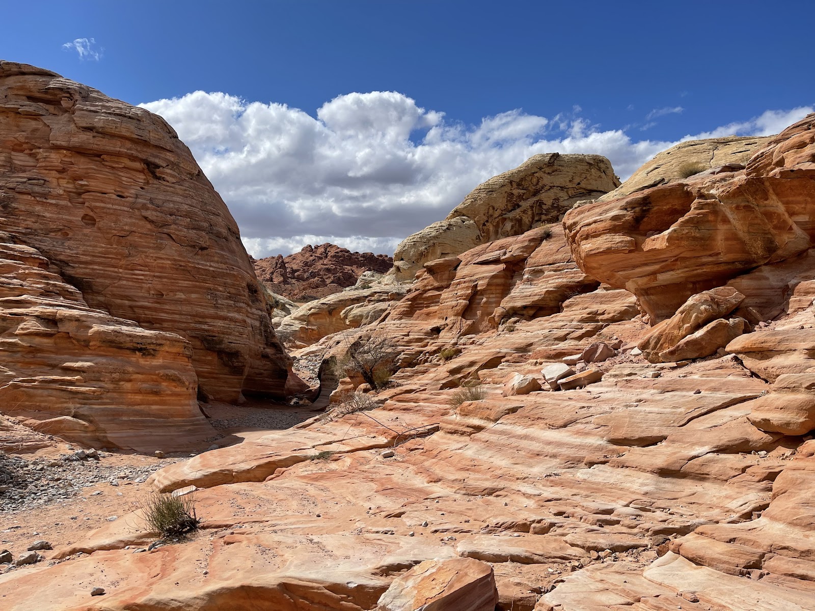 Valley of Fire Wedding – A Special Memory, Vorschau 10