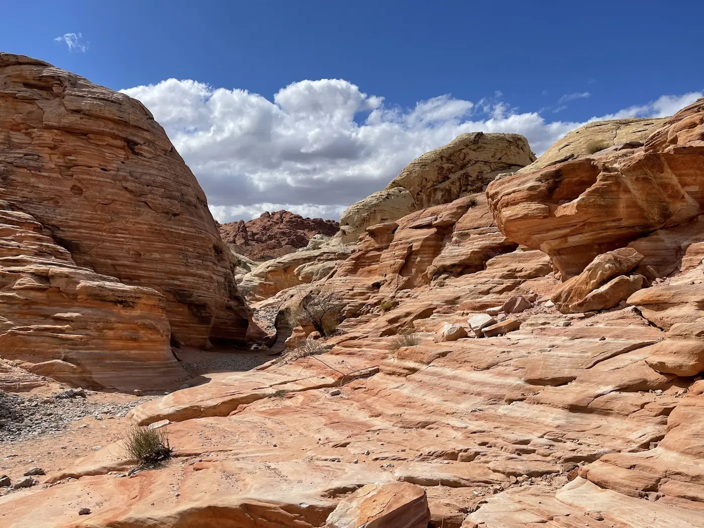 Valley of Fire Wedding – A Special Memory, Vorschau 10