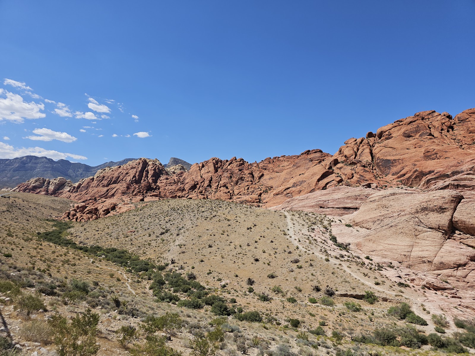 Red Rock Canyon, Vorschau 4