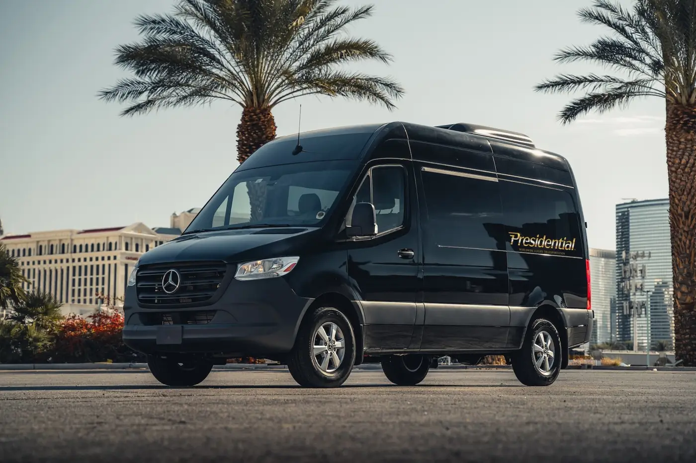Sprinter Limo – 6 Personen
