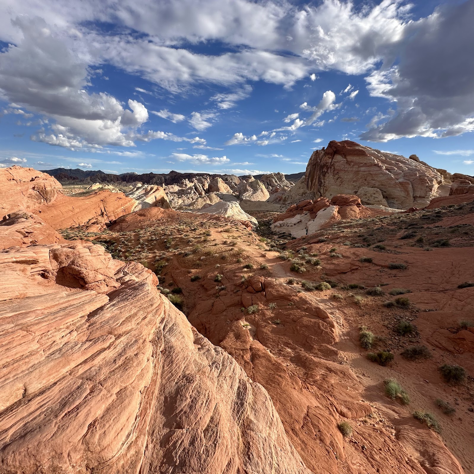 Valley of Fire Wedding – A Special Memory, Vorschau 6