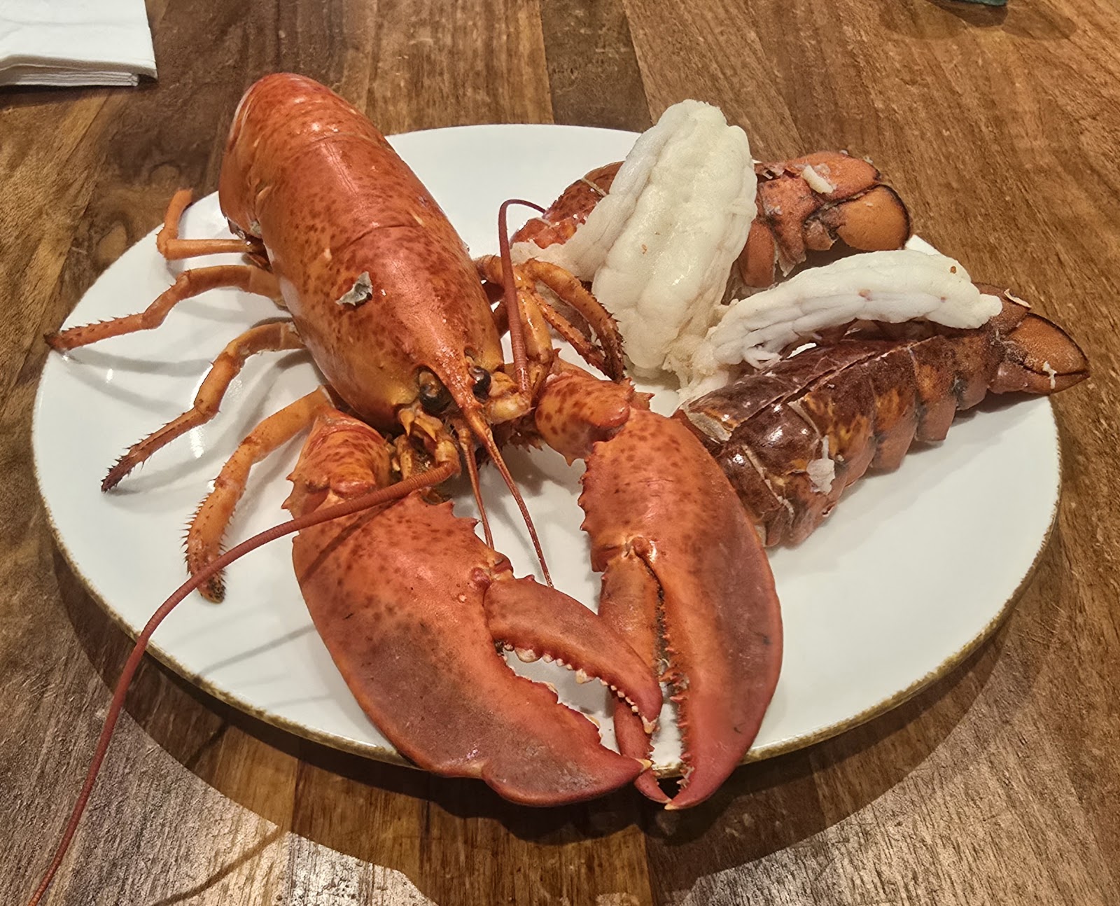 A.Y.C.E. Buffet Las Vegas, Vorschau 10