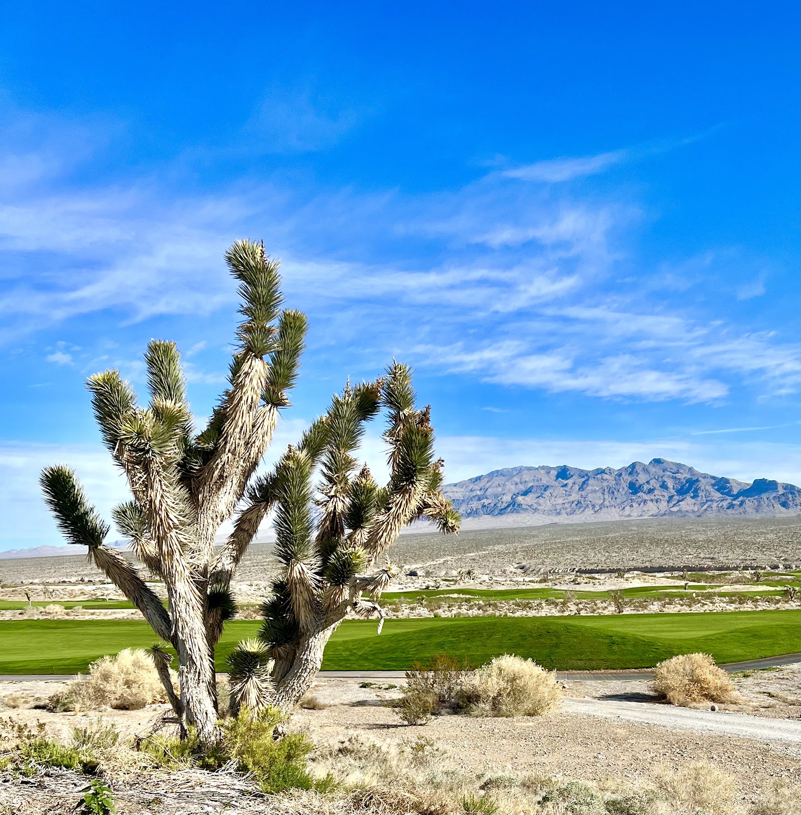 Paiute Golf Resort, Vorschau 5