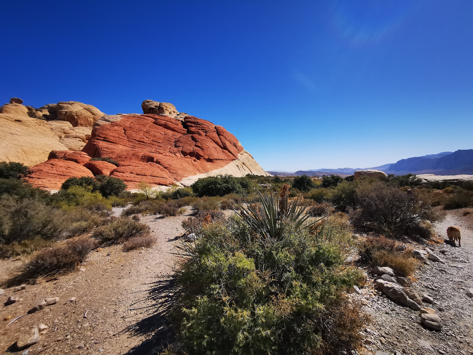 Red Rock Canyon, Vorschau 5