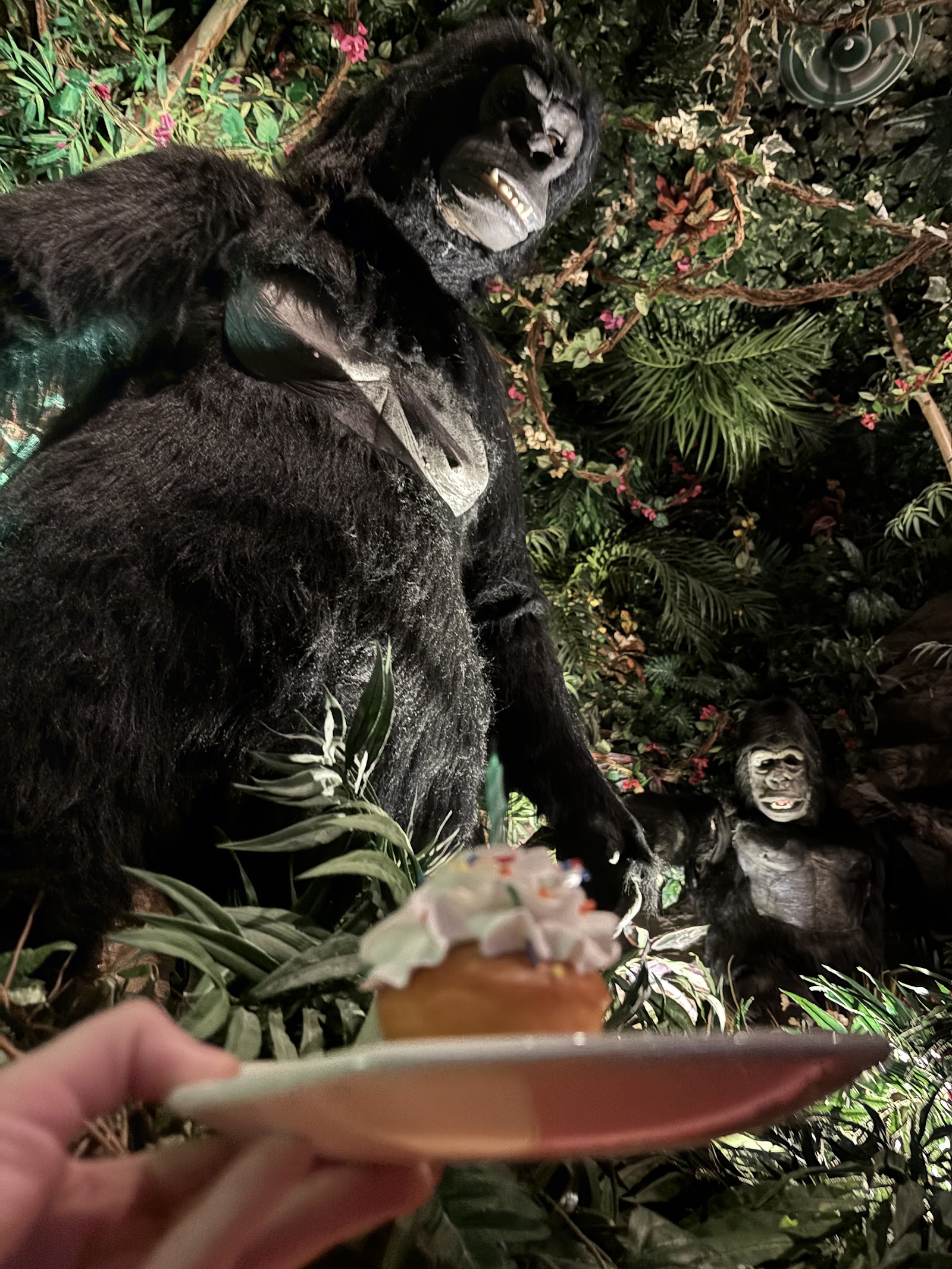 Rainforest Cafe Las Vegas, Vorschau 8