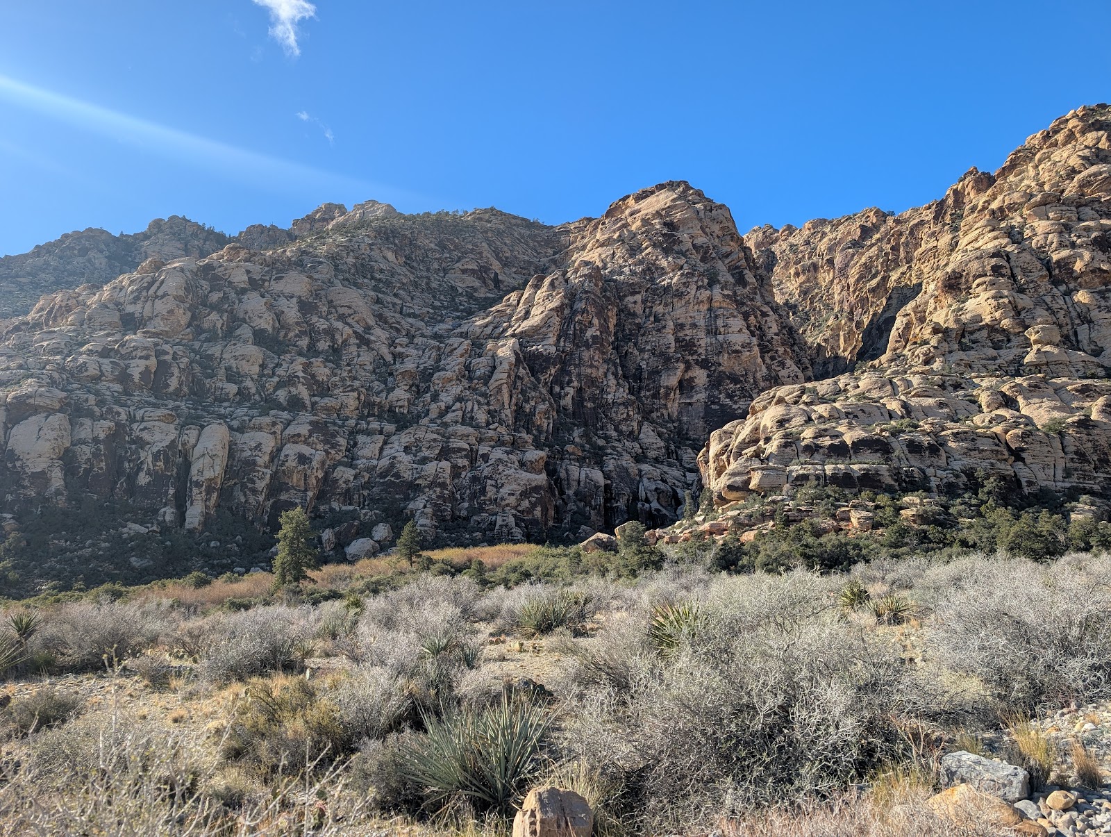 Red Rock Canyon, Vorschau 8