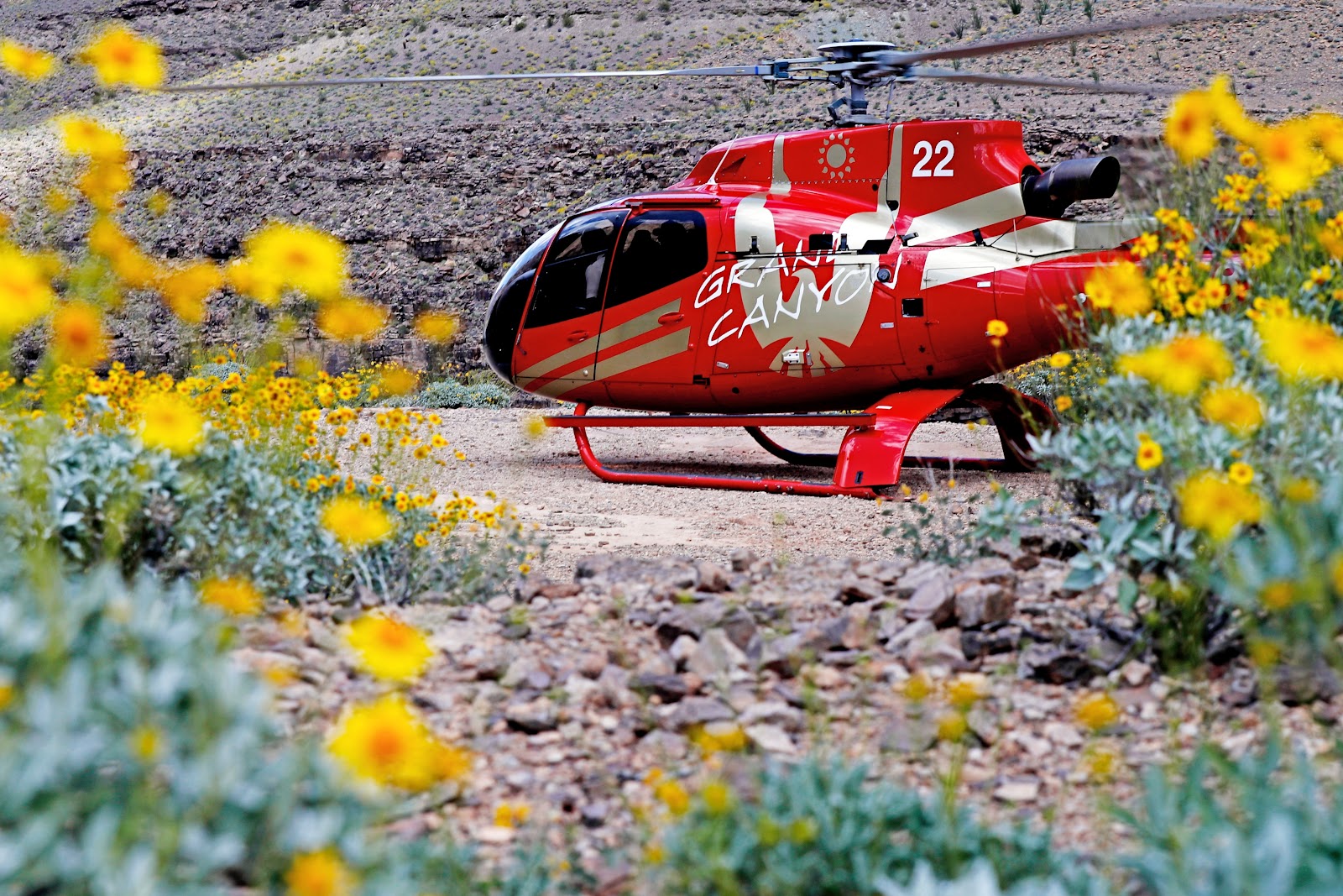 Grand Canyon Hubschrauber-Hochzeit